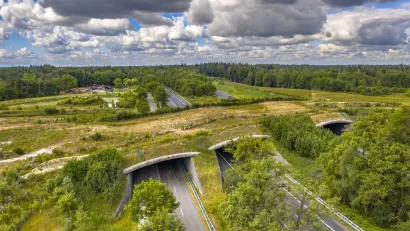 Grassy wildlife crossing overpass over a multilane road in The Netherlands