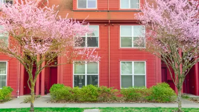 Facade entrance of typical townhouse with cherry blossom in Seattle, Washington, America. Colorful red siding of two story attached townhouse duplex with blooming pink flower near windows with blinds