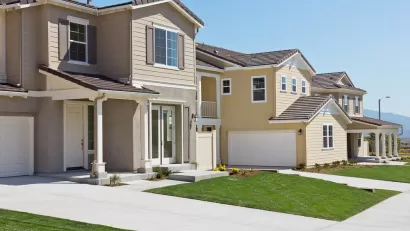Lawns and Suburban Homes