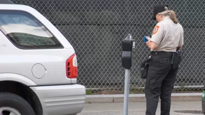 Meter Maid