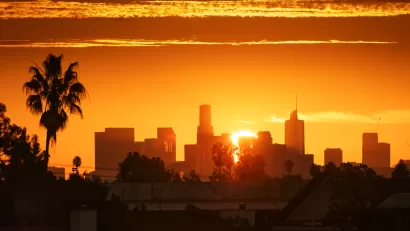 View of Los Angeles skyline against a bright orange sky with a palm tree at left