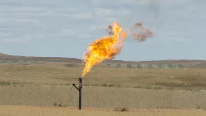 Natural Gas