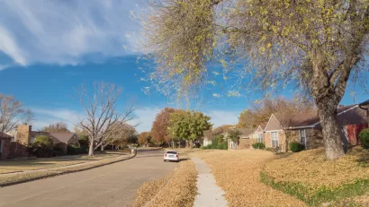View of wide residential street in Dallas, Texas neighborhood with one white car parked at the curb and large tree with yellow fallen leaves around it