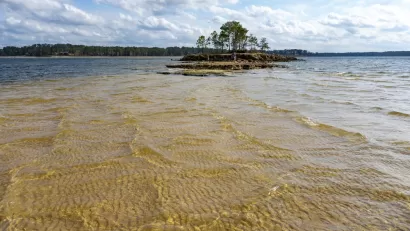 View of reservoir with small island with trees in Texas