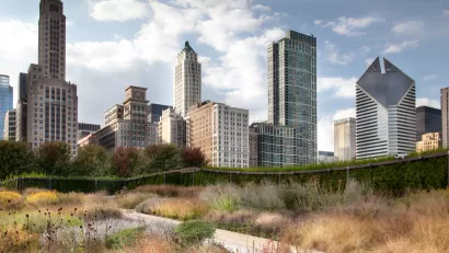 Downtown Skyline