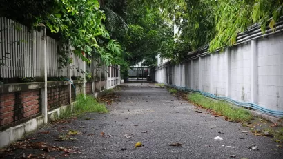 Suburban Alley