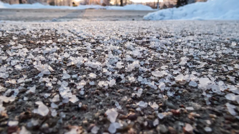 CLose-up of road salt sprinkled on roadway in winter.