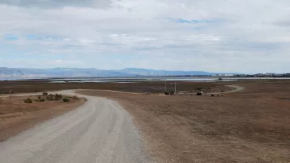 Gravel trail winds through grassy marshy field in Baylands Park, Palo Alto