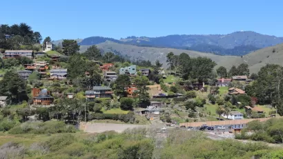Houses on green hillside in Marin County, California