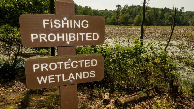 Finshing Prohibited - Protected Wetlands sign