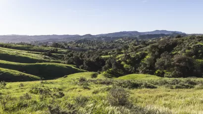 Rolling green hills in San Fernando Valley, Los Angeles