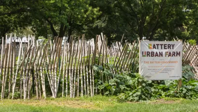 Battery Urban Farm