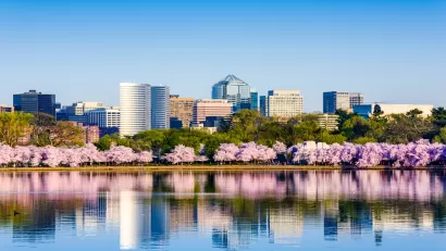 View across lake of Washington, D.C. office buildings with blooming cherry trees in front on lakeshore