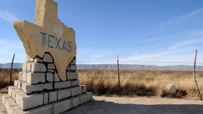 Texas-shaped road sign with TEXAS text on rural roadside