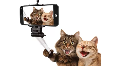 Cat Selfie