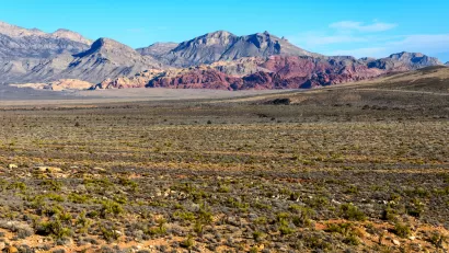 Bureau of Land Management