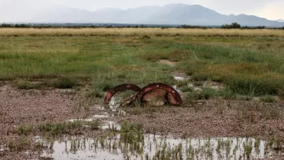 Rainy Wetlands