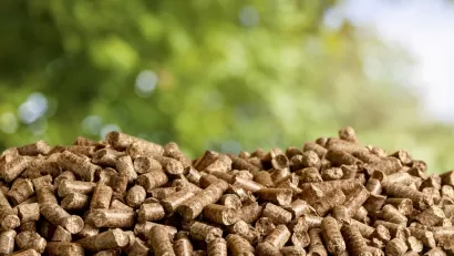 Biomass