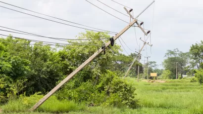 Telephone Pole