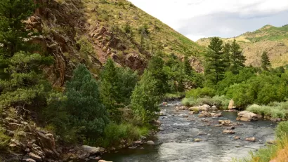 Shallow river with tree-lined banks and hillsides in the background