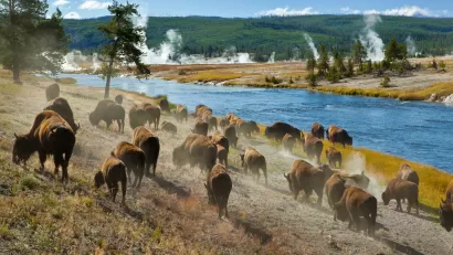 Yellowstone National Park