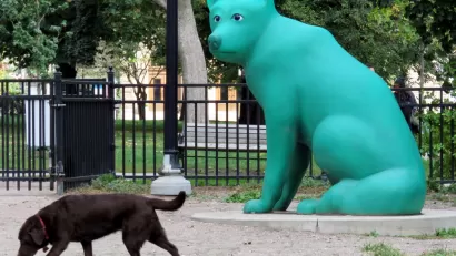 City Dogs