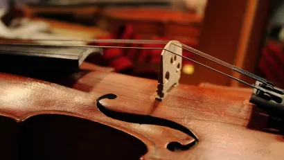 Violin
