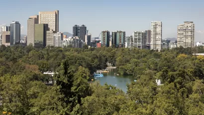 Bosque de Chapultapec