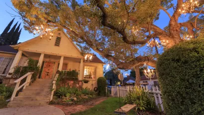 Fancy House