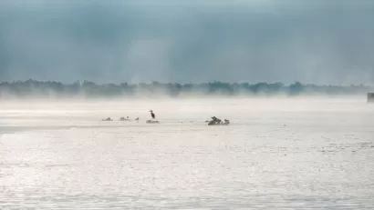Water