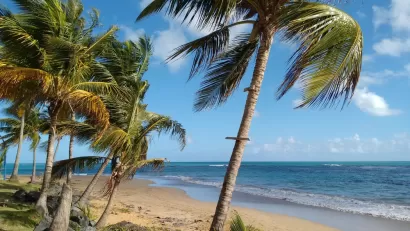 Tropical Beach