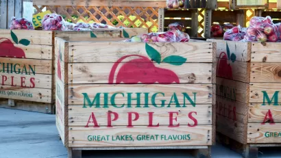 Apple Orchard