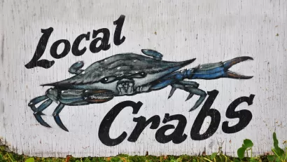 Baltimore Crabs