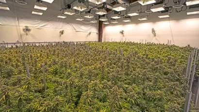 Indoor Grow Room