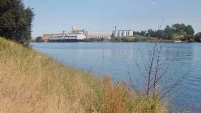 Sacramento River
