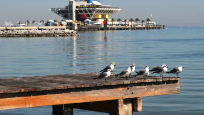 St. Petersburg's Pier