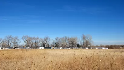 Trailer park and line of bare winter trees in the distance over a golden field on the Colorado prairie.