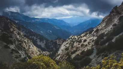 Angeles National Forest