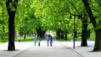 Trees and People