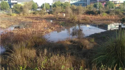 South LA Wetlands Park in Los Angeles, California.