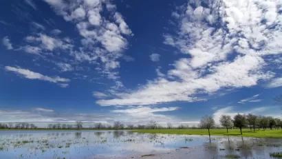 Texas Wetlands