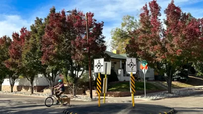 Cyclist with dog passing through a small neighborhood traffic circle in Denver, Colorado.
