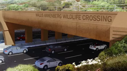 Rendering of wildlife crossing over 101 freeway in Los Angeles County.