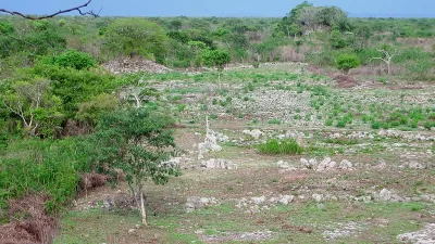 Mayan City