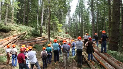 Wood, Timber, Forestry, Logging