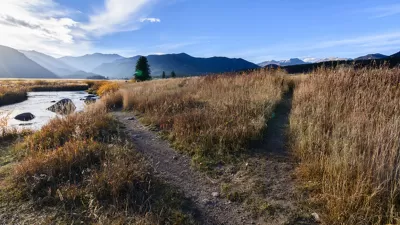 Paths Diverging