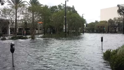 Florida Flood