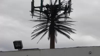 Cell Tower, MonoPalm, Los Angeles