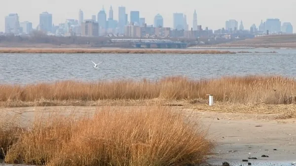 Jamaica Bay 