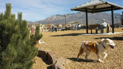 Dog Park